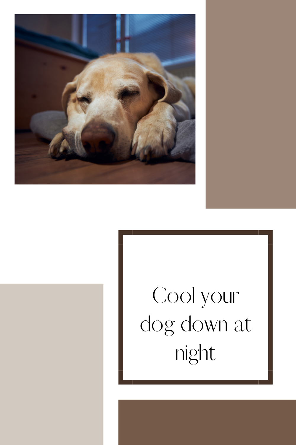 3 Easy Fixes for Dogs That Overheat While Sleeping